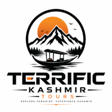 Terrific Kashmir Tours
